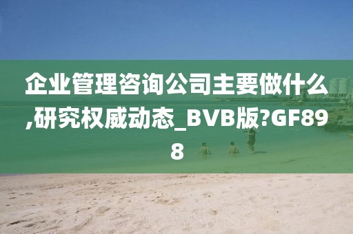 企业管理咨询公司主要做什么,研究权威动态_BVB版?GF898