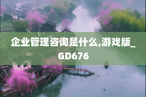 企业管理咨询是什么,游戏版_GD676