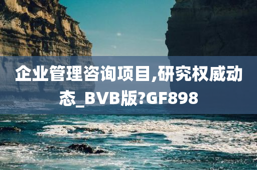 企业管理咨询项目,研究权威动态_BVB版?GF898