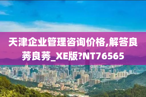 天津企业管理咨询价格,解答良莠良莠_XE版?NT76565