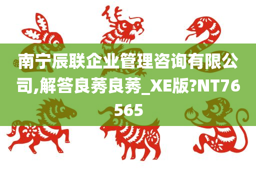 南宁辰联企业管理咨询有限公司,解答良莠良莠_XE版?NT76565