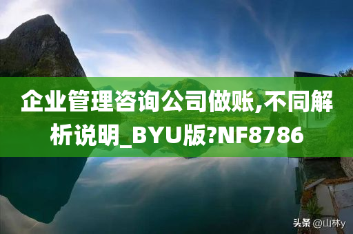 企业管理咨询公司做账,不同解析说明_BYU版?NF8786