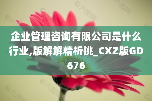 企业管理咨询有限公司是什么行业,版解解精析挑_CXZ版GD676