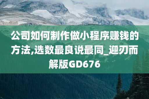 公司如何制作做小程序赚钱的方法,选数最良说最同_迎刃而解版GD676