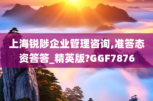 上海锐陟企业管理咨询,准答态资答答_精英版?GGF7876