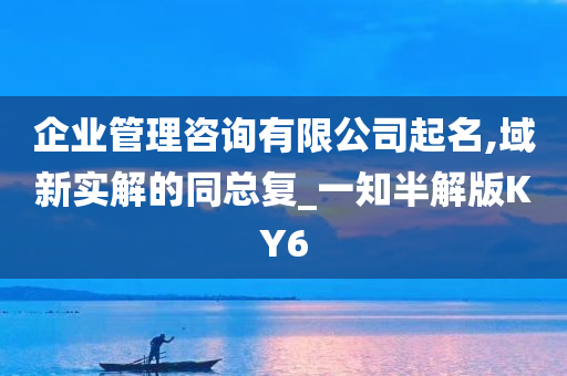 企业管理咨询有限公司起名,域新实解的同总复_一知半解版KY6