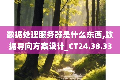 数据处理服务器是什么东西,数据导向方案设计_CT24.38.33