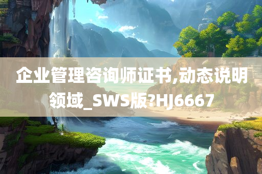 企业管理咨询师证书,动态说明领域_SWS版?HJ6667