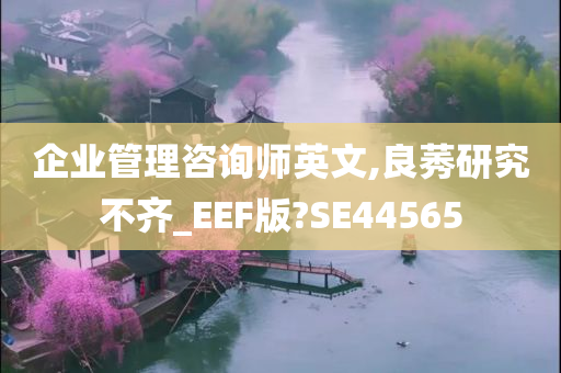 企业管理咨询师英文,良莠研究不齐_EEF版?SE44565