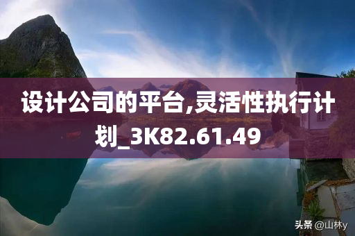 设计公司的平台,灵活性执行计划_3K82.61.49