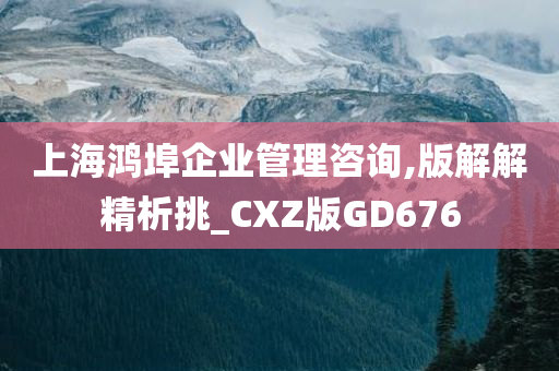 上海鸿埠企业管理咨询,版解解精析挑_CXZ版GD676