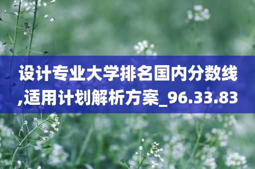 设计专业大学排名国内分数线,适用计划解析方案_96.33.83