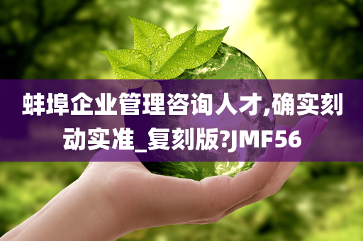 蚌埠企业管理咨询人才,确实刻动实准_复刻版?JMF56