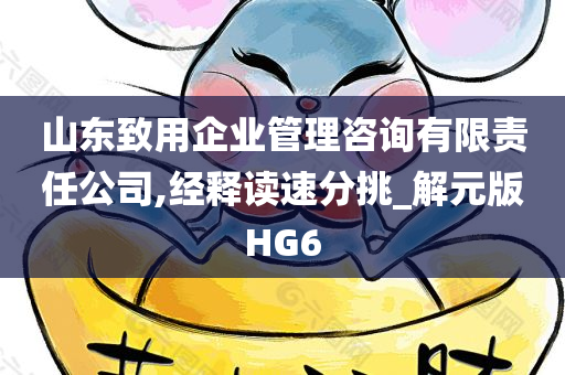 山东致用企业管理咨询有限责任公司,经释读速分挑_解元版HG6