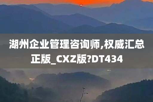 湖州企业管理咨询师,权威汇总正版_CXZ版?DT434