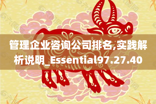 管理企业咨询公司排名,实践解析说明_Essential97.27.40