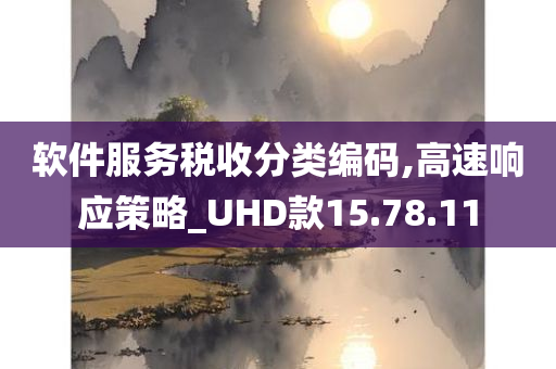 软件服务税收分类编码,高速响应策略_UHD款15.78.11