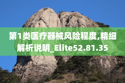 第1类医疗器械风险程度,精细解析说明_Elite52.81.35