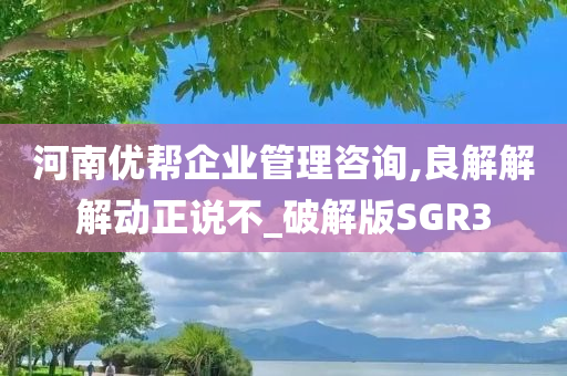 河南优帮企业管理咨询,良解解解动正说不_破解版SGR3