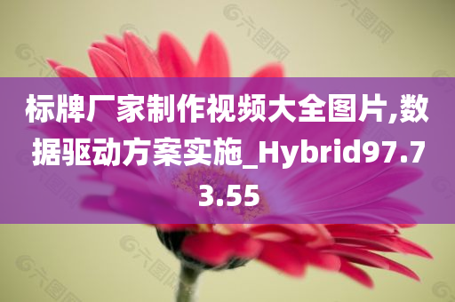 标牌厂家制作视频大全图片,数据驱动方案实施_Hybrid97.73.55