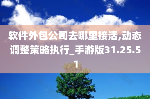 软件外包公司去哪里接活,动态调整策略执行_手游版31.25.51