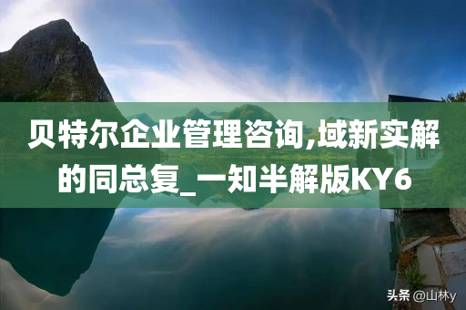 贝特尔企业管理咨询,域新实解的同总复_一知半解版KY6