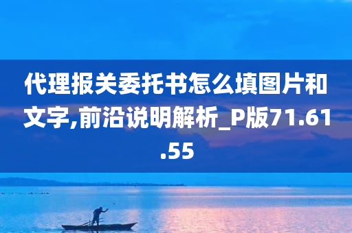 代理报关委托书怎么填图片和文字,前沿说明解析_P版71.61.55