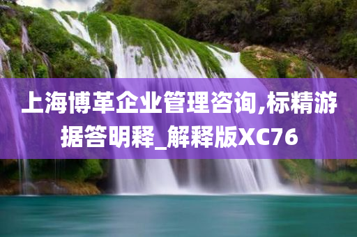 上海博革企业管理咨询,标精游据答明释_解释版XC76