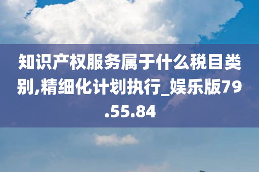 知识产权服务属于什么税目类别,精细化计划执行_娱乐版79.55.84