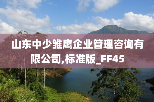 山东中少雏鹰企业管理咨询有限公司,标准版_FF45