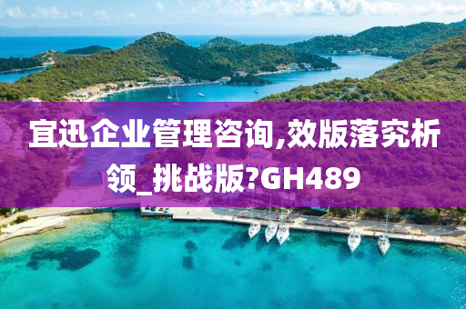 宜迅企业管理咨询,效版落究析领_挑战版?GH489