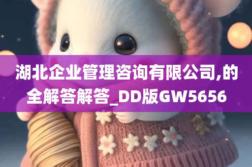 湖北企业管理咨询有限公司,的全解答解答_DD版GW5656