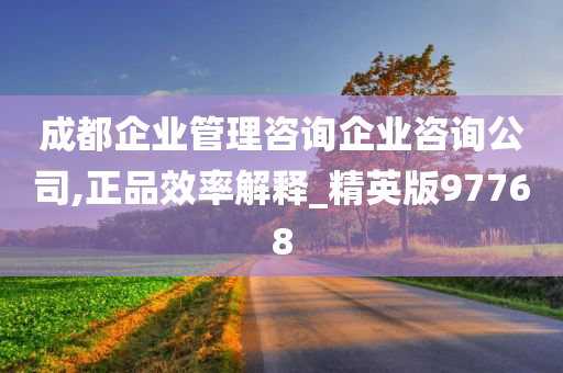 成都企业管理咨询企业咨询公司,正品效率解释_精英版97768