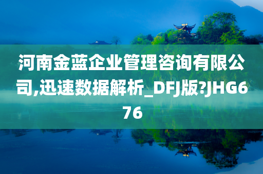 河南金蓝企业管理咨询有限公司,迅速数据解析_DFJ版?JHG676