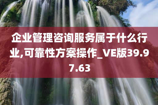 企业管理咨询服务属于什么行业,可靠性方案操作_VE版39.97.63