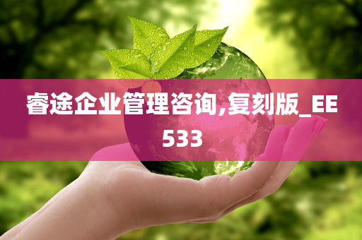 睿途企业管理咨询,复刻版_EE533