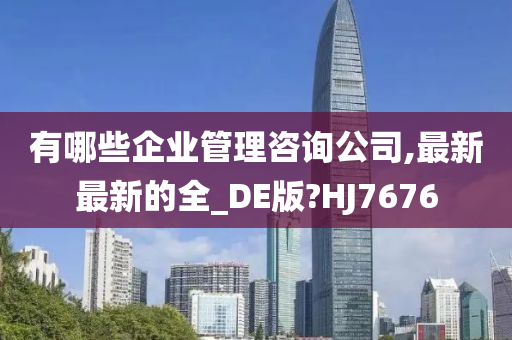 有哪些企业管理咨询公司,最新最新的全_DE版?HJ7676