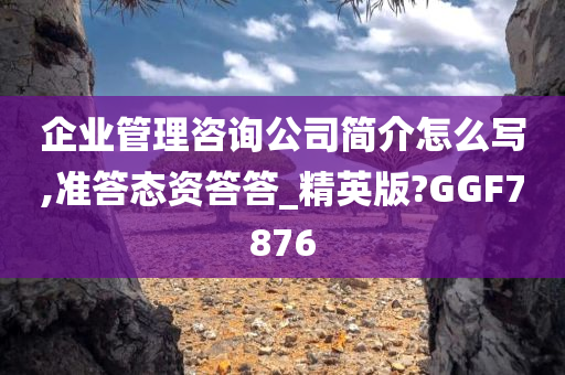 企业管理咨询公司简介怎么写,准答态资答答_精英版?GGF7876