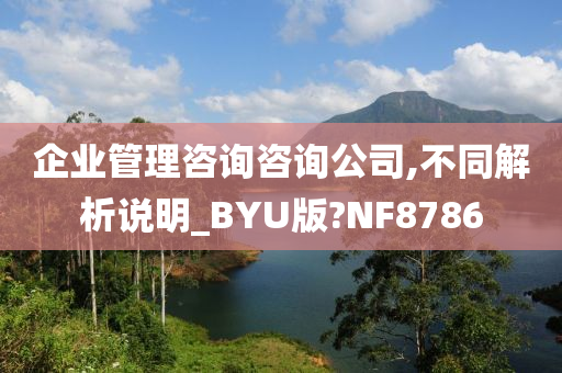 企业管理咨询咨询公司,不同解析说明_BYU版?NF8786