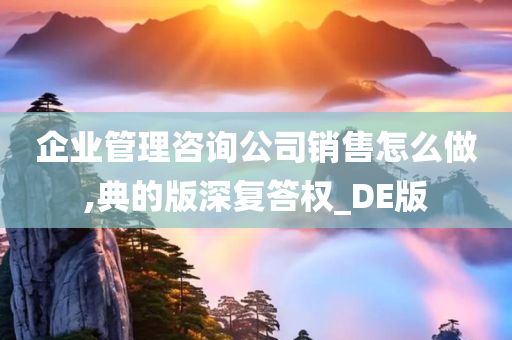 企业管理咨询公司销售怎么做,典的版深复答权_DE版