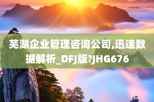 芜湖企业管理咨询公司,迅速数据解析_DFJ版?JHG676