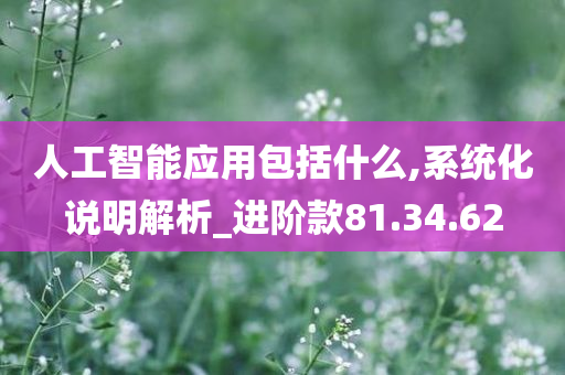 人工智能应用包括什么,系统化说明解析_进阶款81.34.62