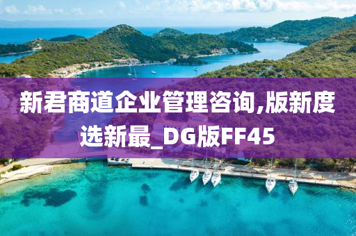 新君商道企业管理咨询,版新度选新最_DG版FF45