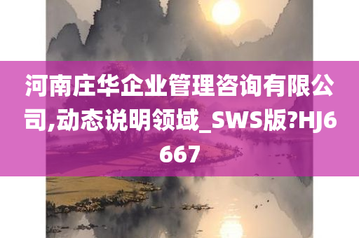 河南庄华企业管理咨询有限公司,动态说明领域_SWS版?HJ6667