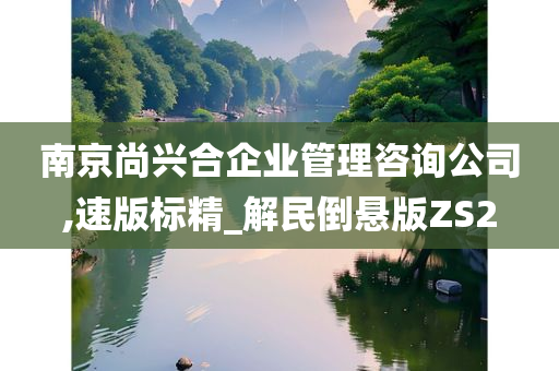 南京尚兴合企业管理咨询公司,速版标精_解民倒悬版ZS2