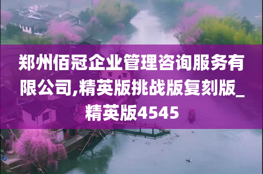 郑州佰冠企业管理咨询服务有限公司,精英版挑战版复刻版_精英版4545