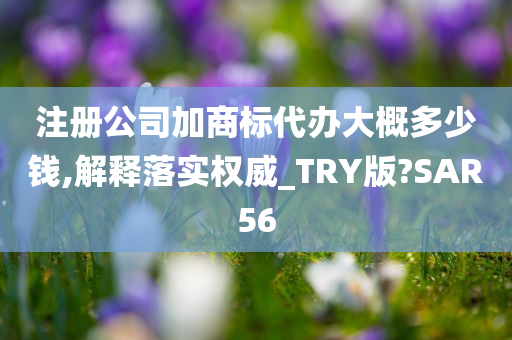 注册公司加商标代办大概多少钱,解释落实权威_TRY版?SAR56