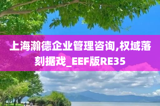 上海瀚德企业管理咨询,权域落刻据戏_EEF版RE35