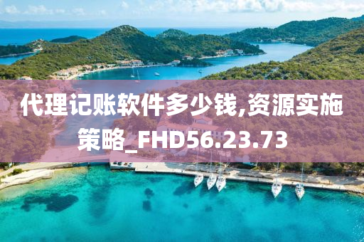 代理记账软件多少钱,资源实施策略_FHD56.23.73