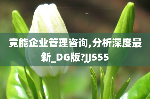 竟能企业管理咨询,分析深度最新_DG版?JJ555